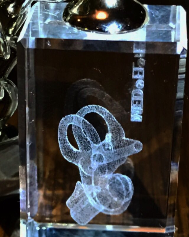 DaddyKnott11's tweet photo. @medel sent this brilliant keyring of an inner ear. Makes explaining things easier #cochlea #deaf #hearingloss #daddyknott #cochlearimplant https://t.co/qOi2bBJRIy