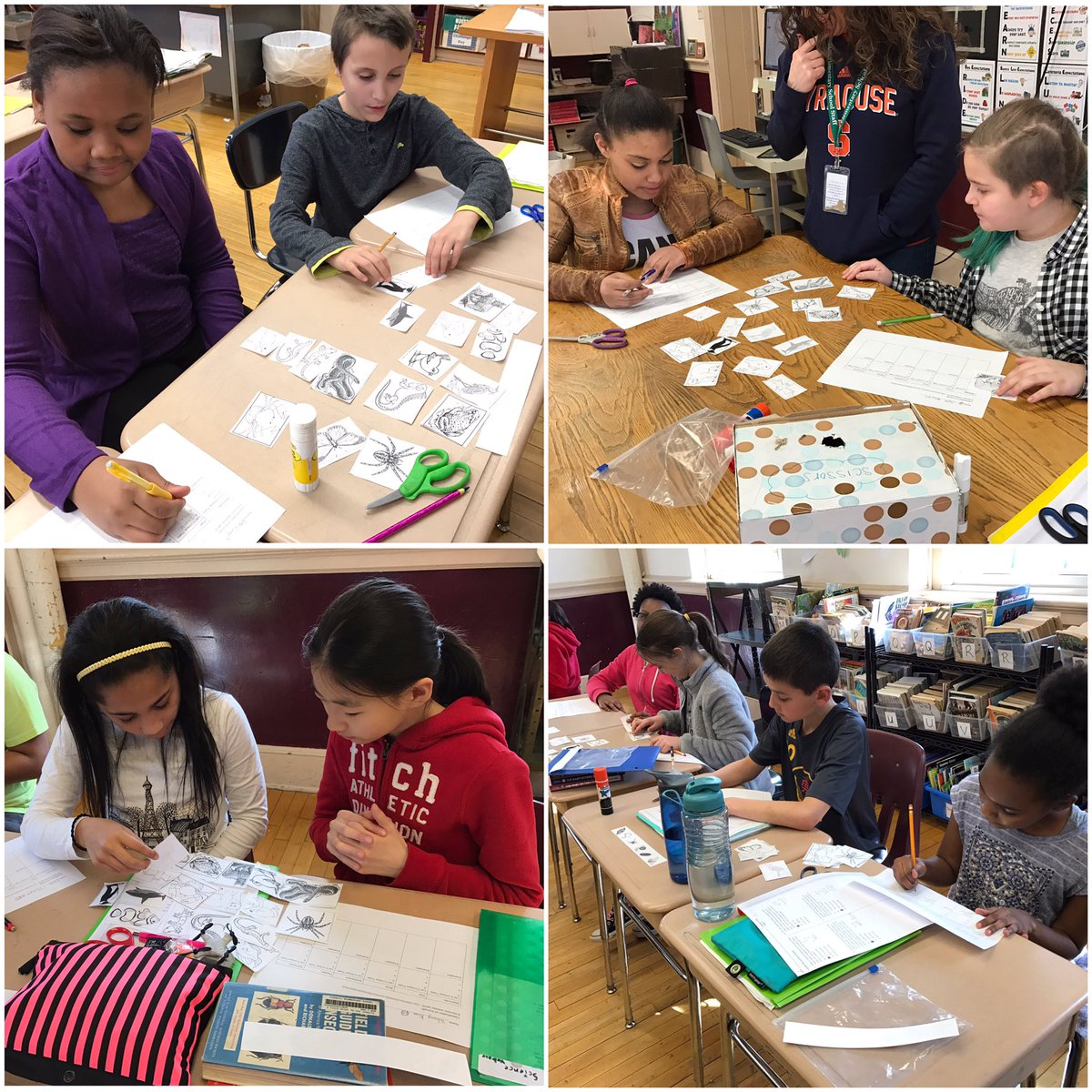 Classification of animals activity <a href="/FishkillFrogs/">Fishkill Elementary School</a> <a href="/WCSDEmpowers/">WCSDEmpowers</a> <a href="/KMahusky/">Kim Mahusky</a> <a href="/jlawlerscience/">Janice Lawler</a>