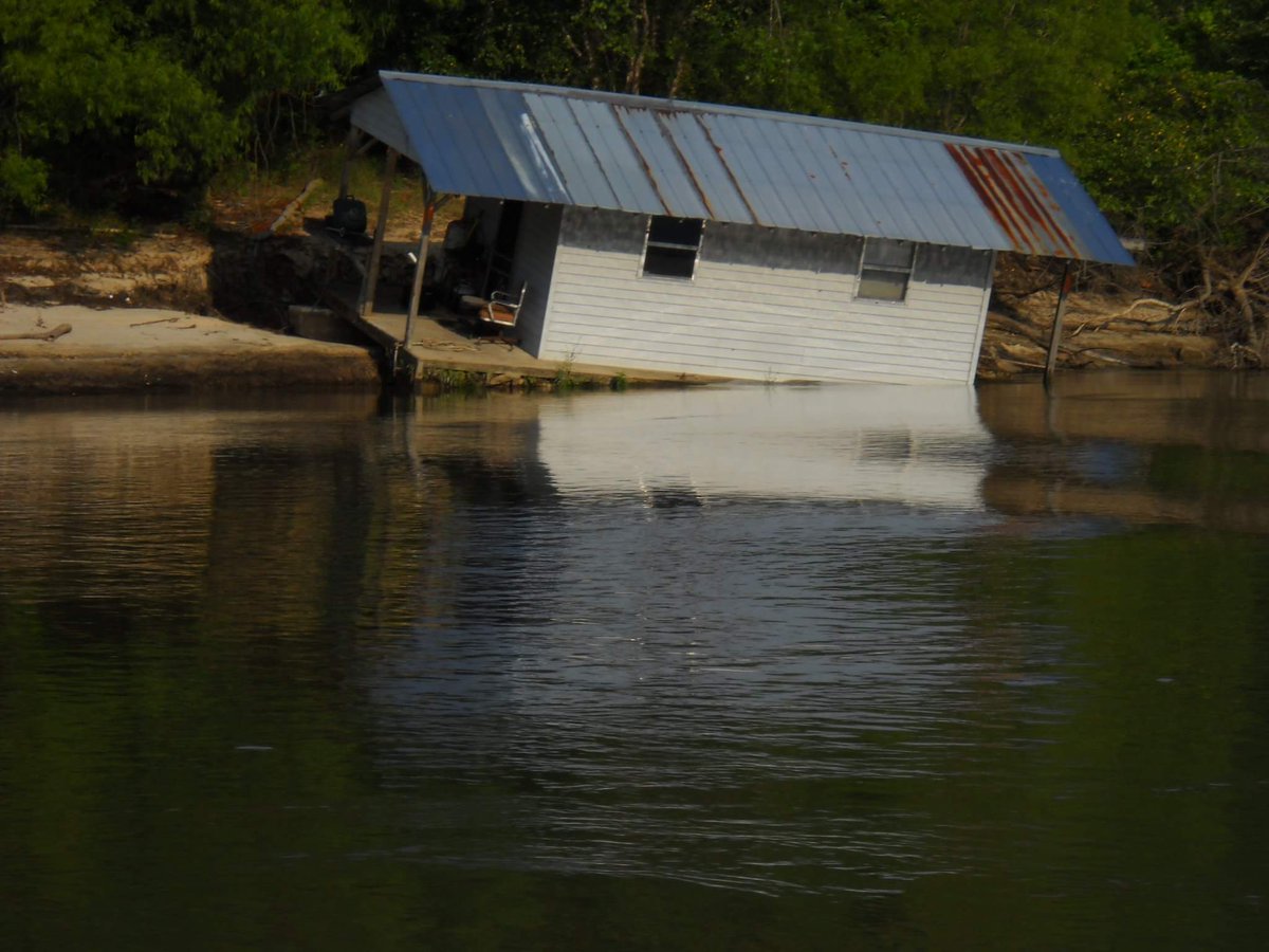 NancieNorton's tweet photo. What Atlanta is doin, by holdin up 2 much of th water comn 2 our Appalachicola River down stream. Is killing our A Bay Oysters&amp;Tupelo trees. https://t.co/3b1D2rD7DX