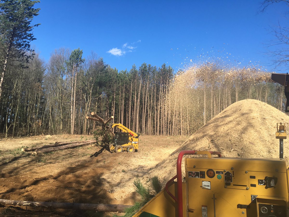 Advantage_TreeS's tweet image. Pretty windy, huh? #arboristlife