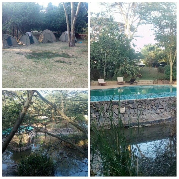 EdithMacharia's tweet photo. Be in sync with nature, come camp with us. #outdoorsy #nature #camping #localtourism #supportlocal https://t.co/DwwA8XaFeG