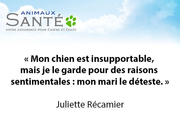 Animaux Santé On Twitter Citation Du Jour Mon Chien