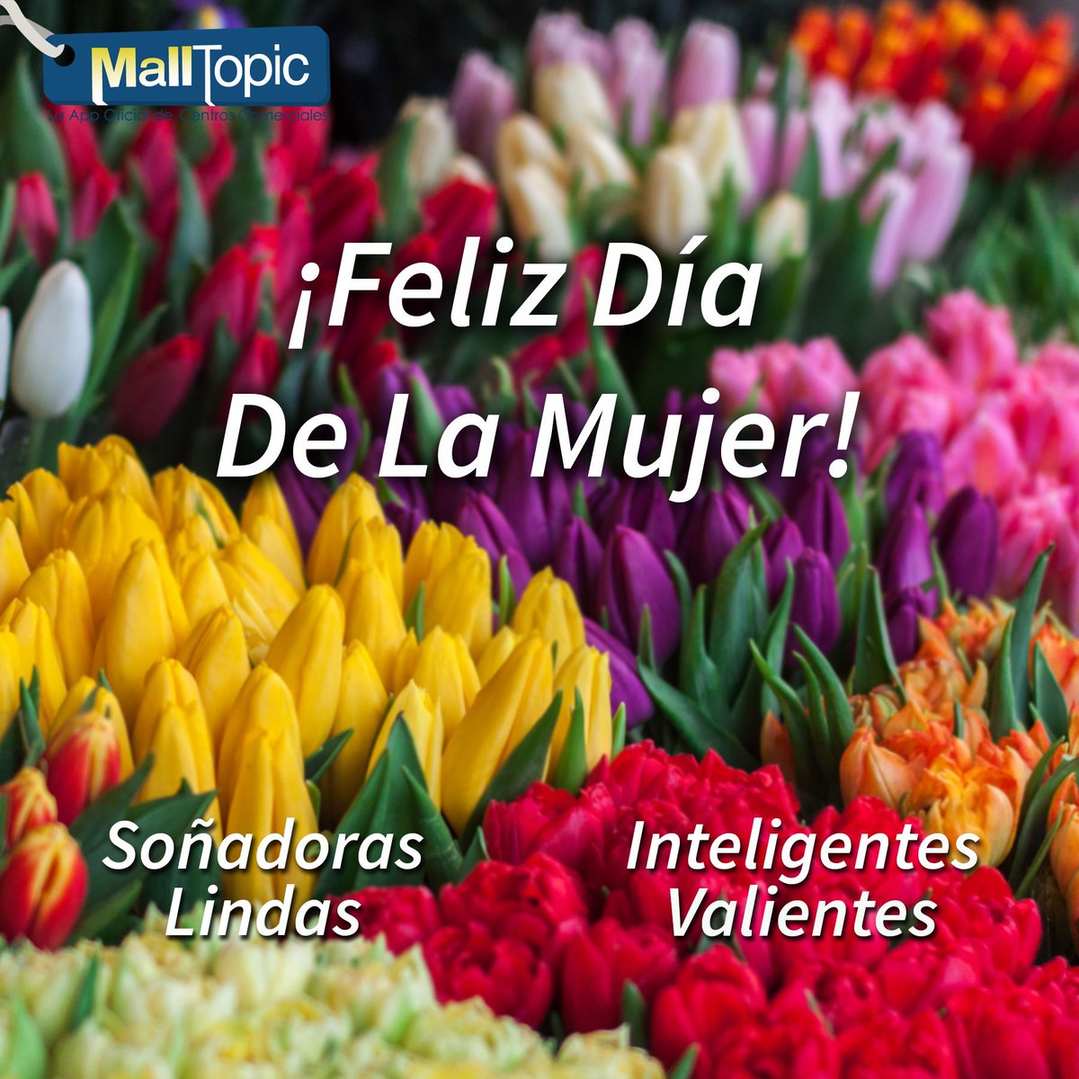 MallTopic's tweet photo. ¡Feliz día para ti! 

#MallTopic #DiaInternacionalDeLaMujer  #FelizDiaMujeres #FelizDiaDeLaMujer https://t.co/2ORfUn0fit