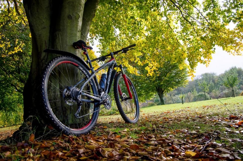 Stayinstandrews's tweet photo. #StayinStandrews and #SpringintoFife – are you a cycling enthusiast? With over 300miles of dedicated cycle routes #Fife is a healthy option! https://t.co/vY6dmFV6cg
