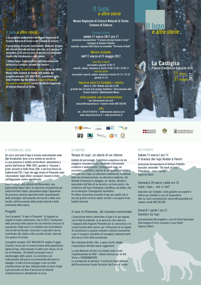 Dall’11 marzo al 21 maggio la Castiglia ospita la mostra “Tempo di lupi – La storia di un ritorno” comune.saluzzo.cn.it/dall11-marzo-a…