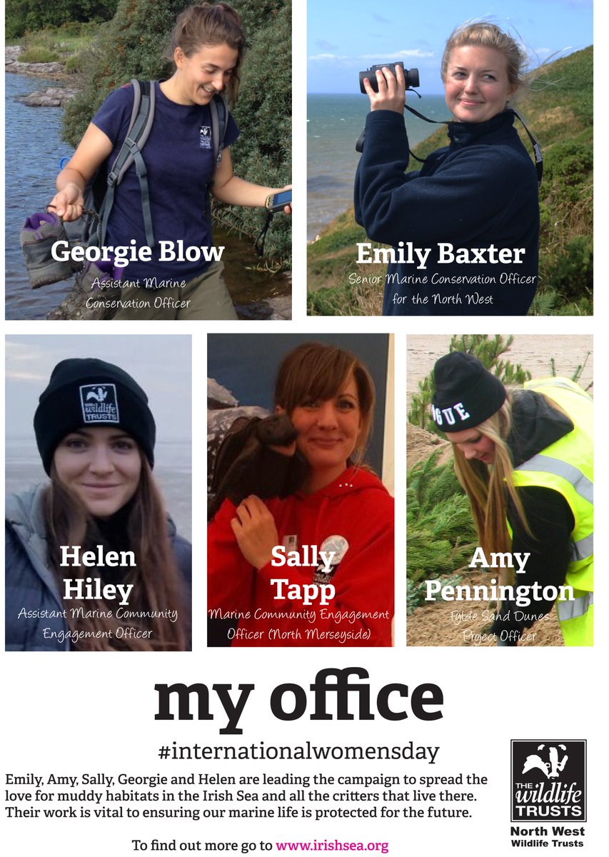 LivingSeasNW's tweet photo. Happy #InternationalWomensDay from our inspiring marine team - working to protect #OurIrishSea marine life @cumbriawildlife @Lancswildlife https://t.co/GGQGdJciZe