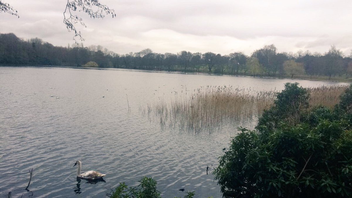 VickyWa5379's tweet photo. Coursework trip to Wollaton park with @EmmaMaeMalpass https://t.co/i24UKp1dK1