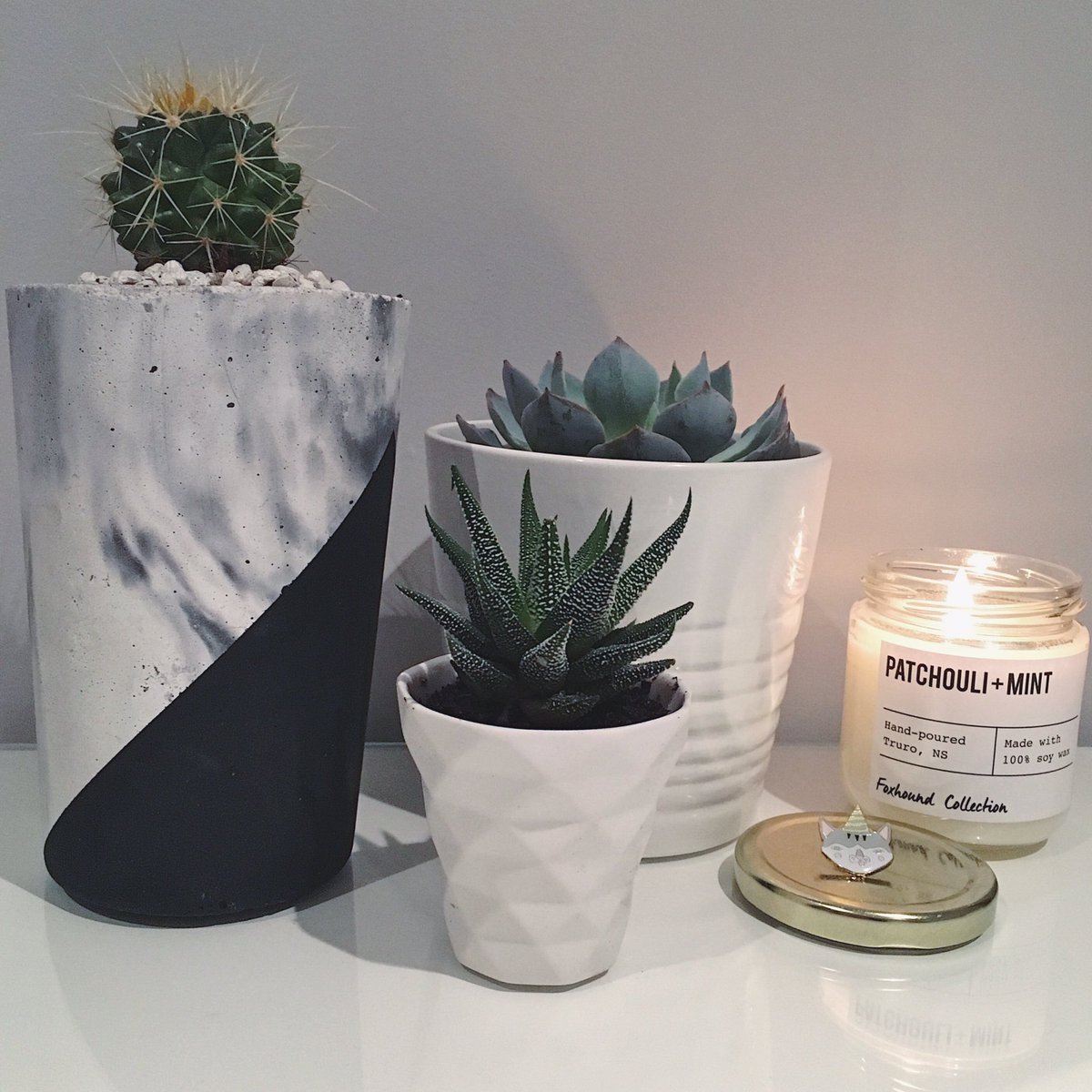 katembook's tweet photo. The gang's all here 🌱 | @keepgoodco_ @crywolfclothing @shopfoxhound @craftartsmarket #shoplocal #supportlocal #ourhomestc #plantheaven https://t.co/Xn5HBI4guW