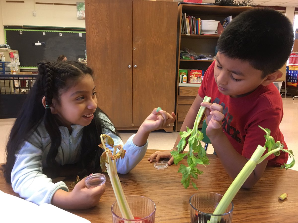 leonlyn11's tweet photo. Learning language through 1st grade content! @Waverley_ES #ellfcpsmd https://t.co/D1fX6chje9