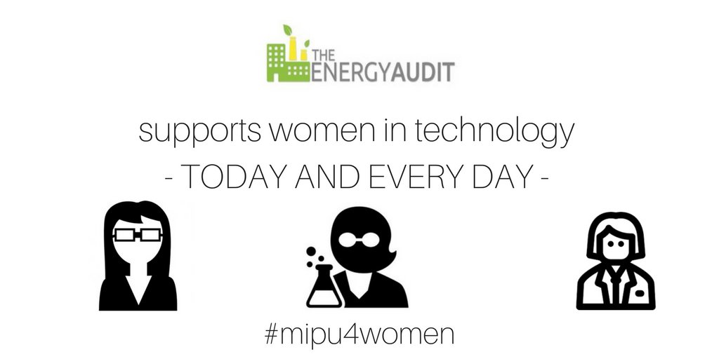 The Energy Audit tweet media