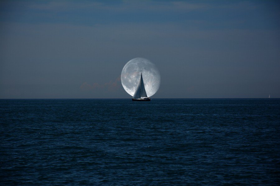 Ou_Prg's tweet image. Bülent Binici