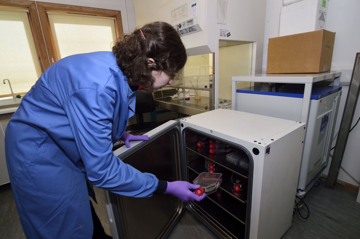 AfterMastectomy's tweet photo. #IWD2017 Celebrating female #scientists @RaftCharity #STEM #Womeninscience https://t.co/8hXtzfl62L