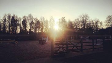 GS_Eventing's tweet image. I’m back!!! studentinthesaddle.wordpress.com/2017/03/08/im-…