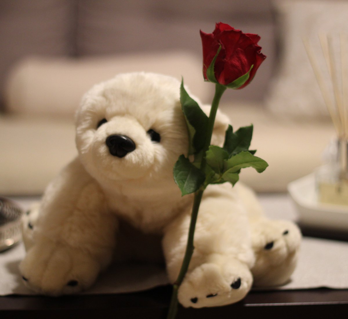 Buddy_TheBear's tweet image. To all ladies @Twitter 😊
Happy and joyful International Women's Day ⚘⚘⚘
#internationalwomensday #BuddyTheBearAdventures