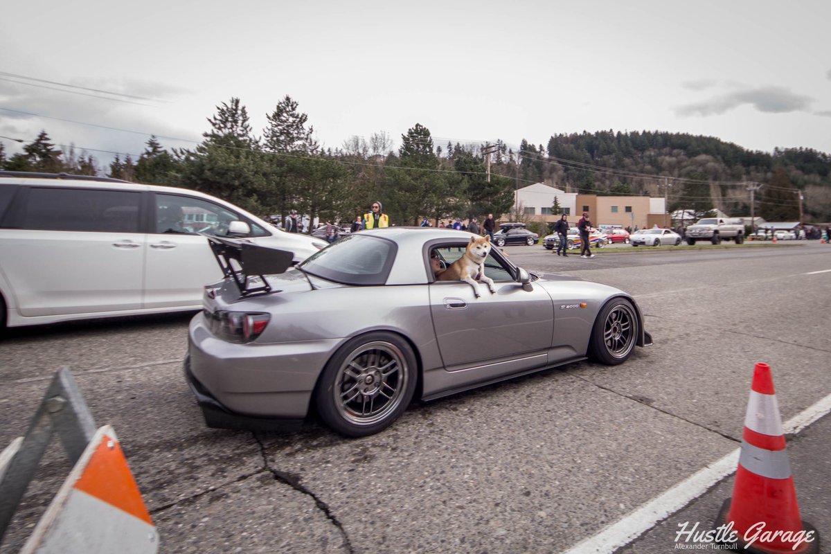 HustleGarage's tweet photo. #Importmeet #Stancewars #Shiba #Hustle https://t.co/rHhkSgCgOe