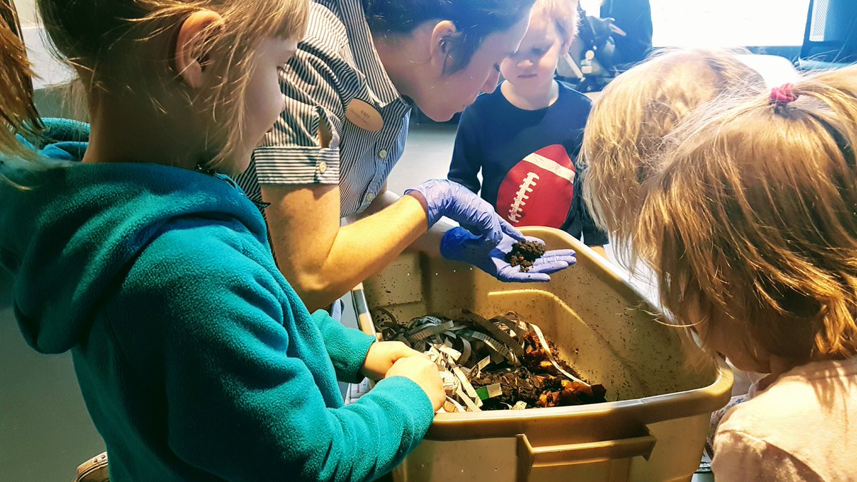 DiscoveryCntr's tweet photo. Science Educator, @WorkerBeeKMP joined by our littlest visitors, meet these composting heros, the red wiggler worms for Science on the Spot. https://t.co/HjVSn6hQoS
