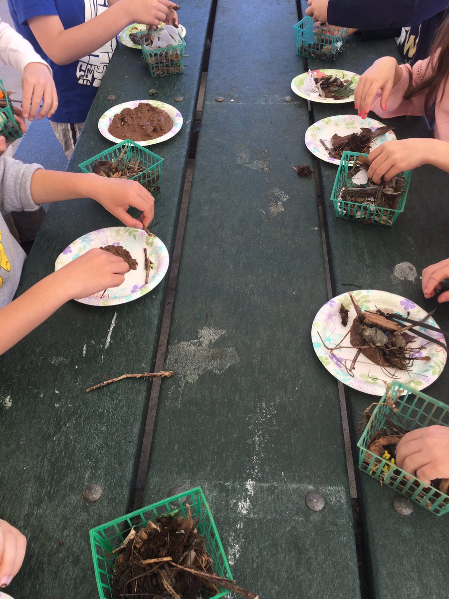 AmberFergusonGB's tweet photo. Learning about instincts and how birds make nests @GardnerGrizzly @lasdk8 https://t.co/Z2elm3qzkI