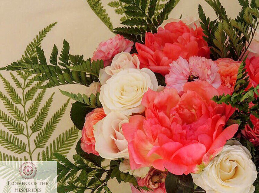 Happy #InternationalWomensDay #flowers #pink #beauty #inspire