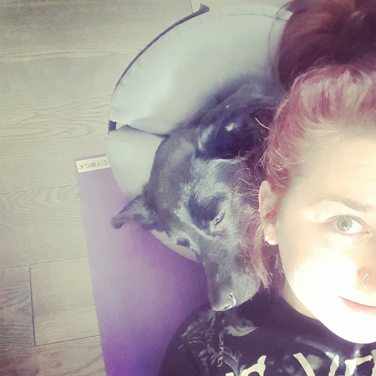 HolisticBrooke's tweet photo. When colbie is super concerned that I definitely need a pillow for #savasana #dogdonut #alwaysthere2help #dogyoga 😀 https://t.co/6sQtx6CwDN