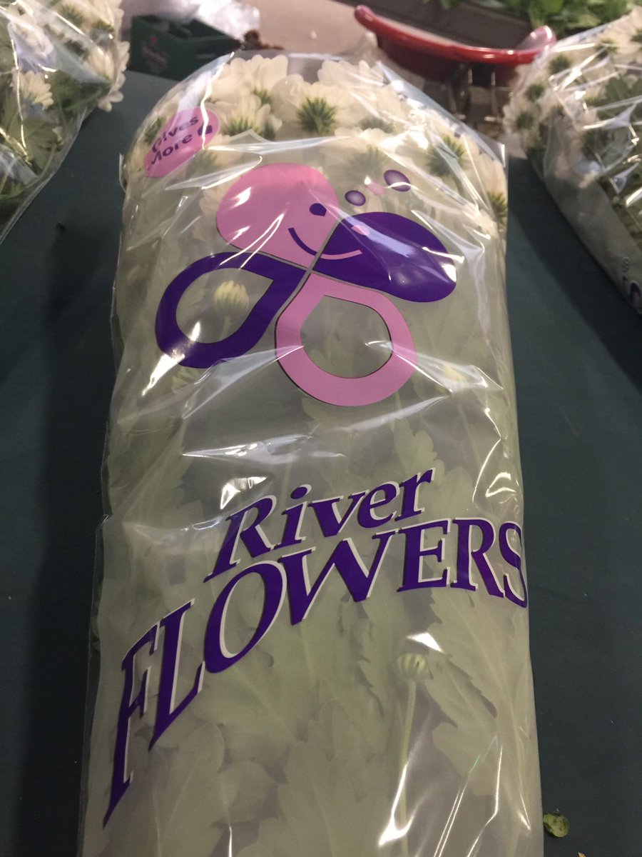 _RiverFlowers's tweet photo. Vanaf nu CHIC en HAYDAR met bedrukte hoezen te koop @FloraMondo #RiverCHIC #Quality Chrysanthemum spray white https://t.co/Z89Czzhvef