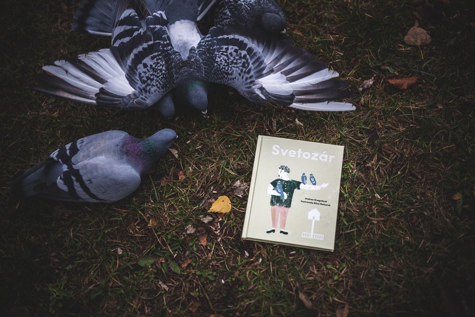EgresMagazin's tweet photo. Our lovely and funny children´s book about pigeons.
Text by Andrea Gregušová, illustration by Alica Raticová.
#welovepigeons https://t.co/CWgEKMUsoA