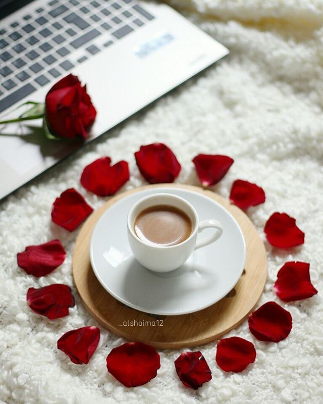 عٌنِدٍمًأّ نِکْوٌنِ عٌلَى حًقُ لَأّأّحًدٍ يِّتٌـذِکْر، وٌعٌنِدٍمًأّ نِکْوٌنِ عٌلَى خِـطِأ لَأّأّحًدٍ يِّنِسِـى ✋💔