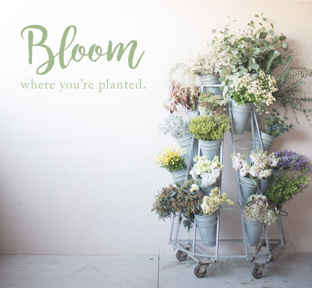 WaverlyBride's tweet photo. Oh my!  Loving the inspiration from Found Vintage Rentals Spring Look Book!  https://t.co/GF7x9CUtlt https://t.co/jeJyyjSnQS