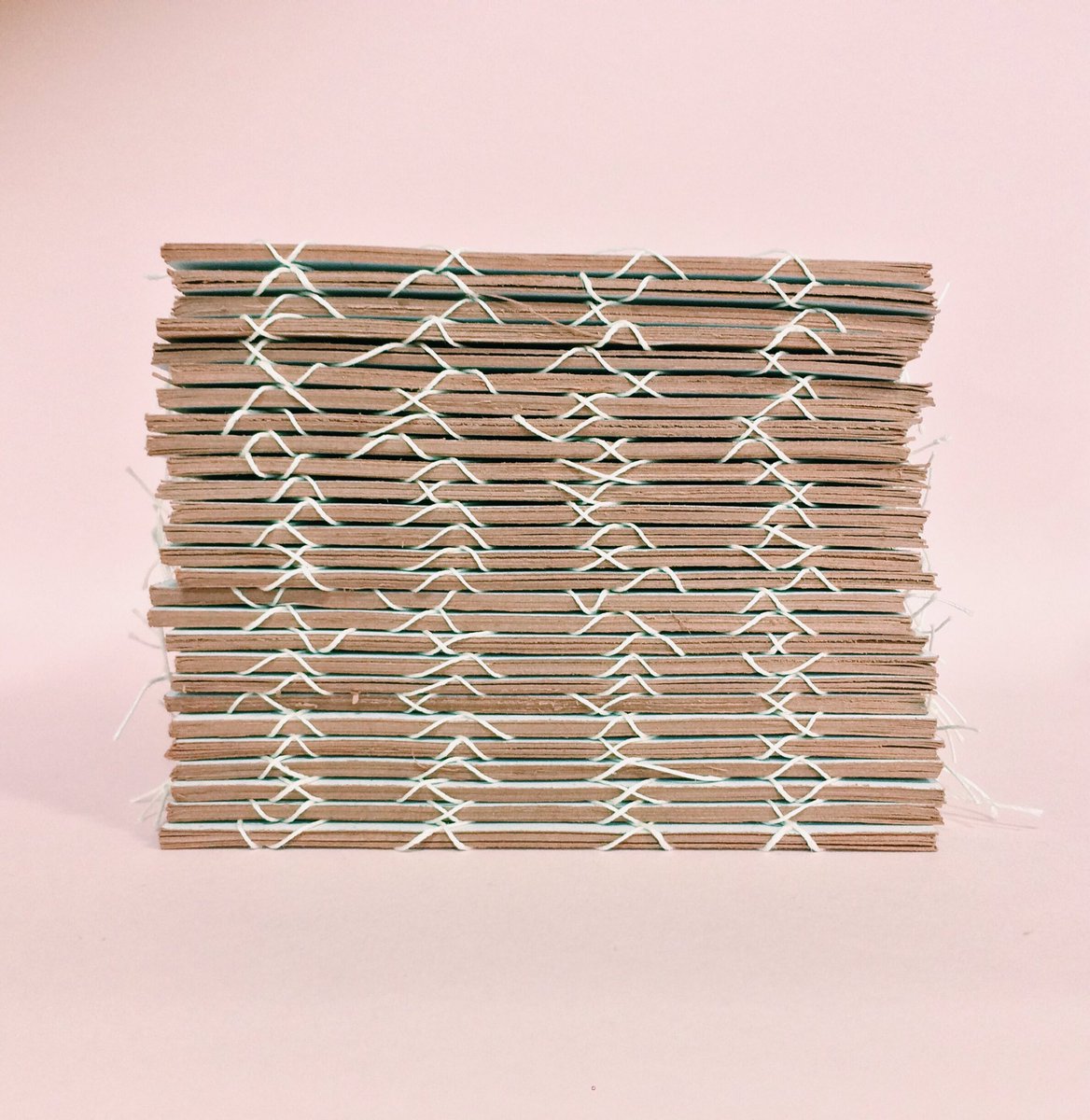 My contribution to n + 1. A meatily flip book that suggests "the artist's" work is live flesh/or dead meat.

#n+1 #authorialpractice