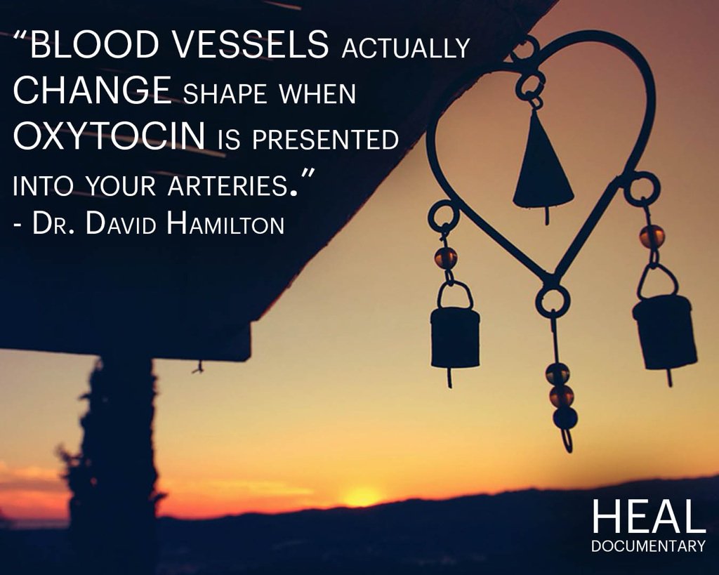 healwithkelly's tweet image. LOVE can physically change your body. #DrDavidHamilton