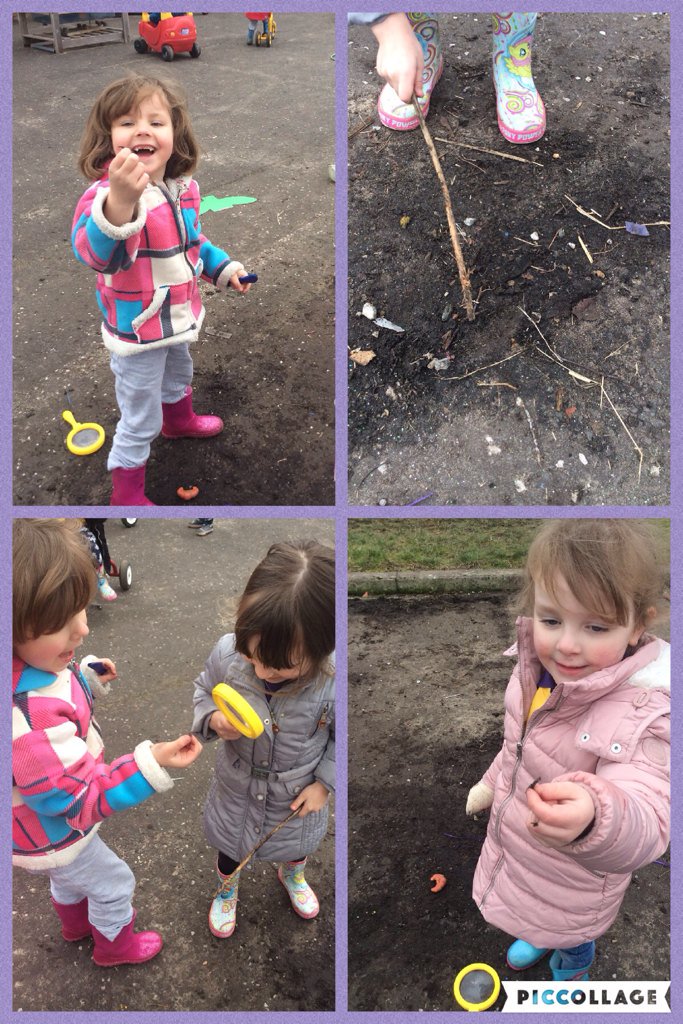 TollbraePS's tweet photo. We were Wiggly Worm hunting in Nursery this afternoon ๐ #ivefoundone #naturedetectives https://t.co/ypFBoUAwwx