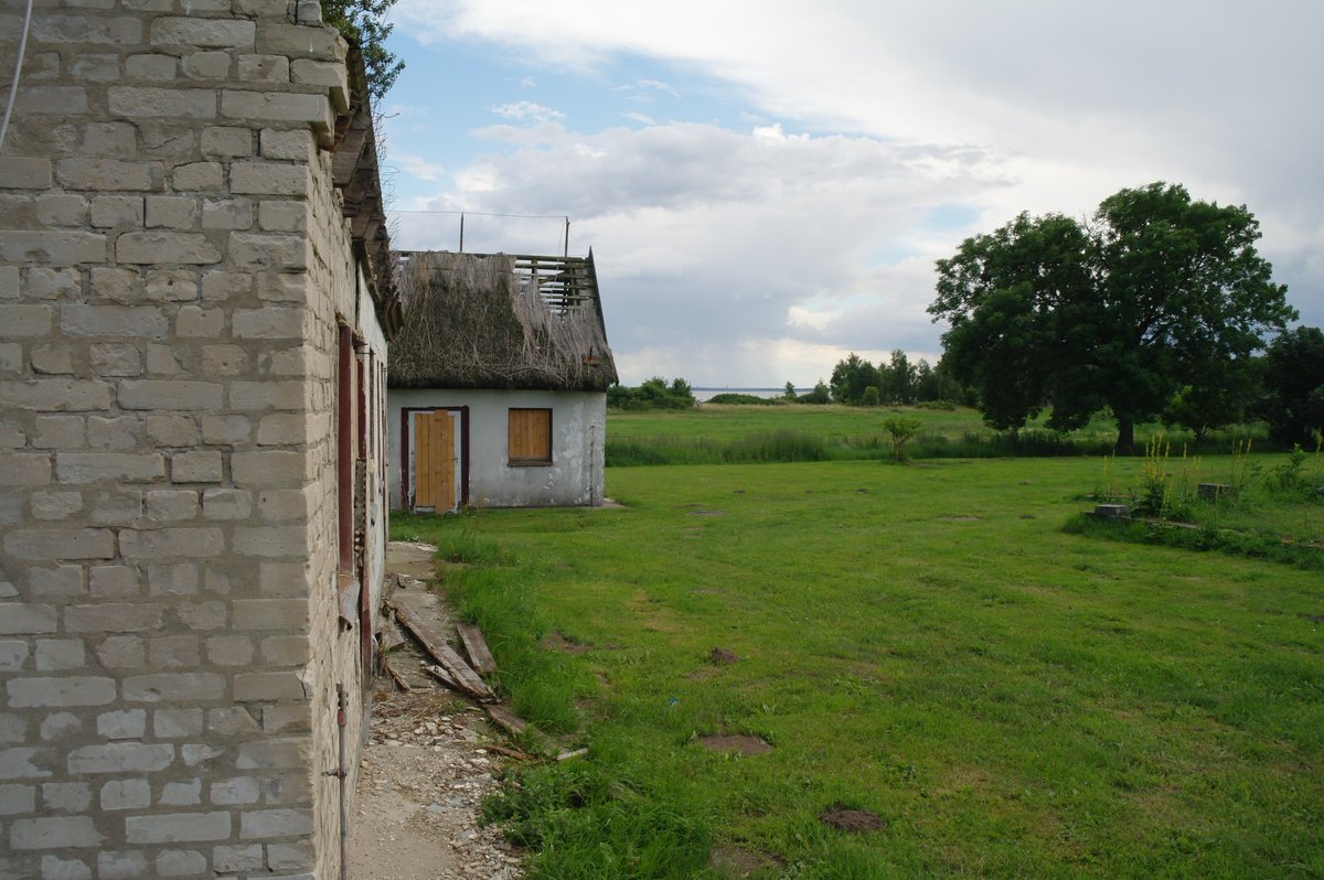 WikingerArt's tweet image. 