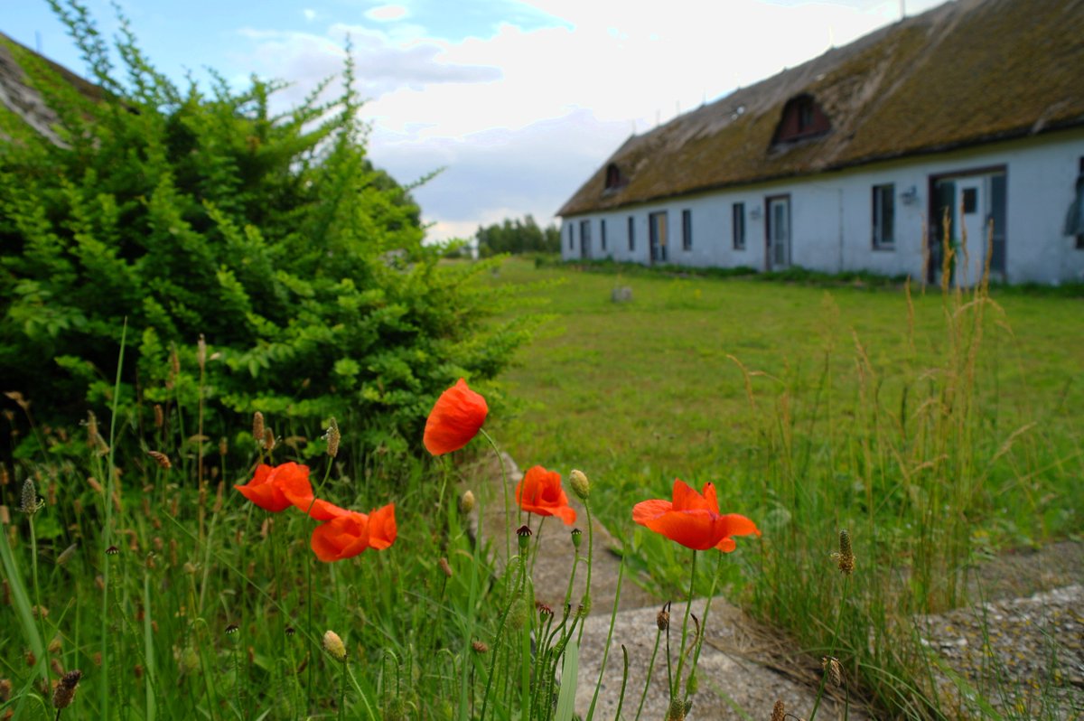 WikingerArt's tweet image. 