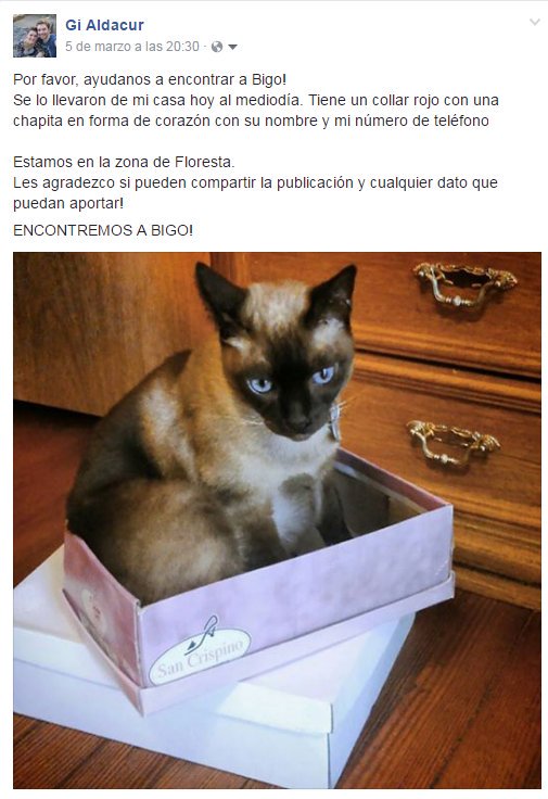 lujicapanegra's tweet photo. @mica_tinelli Por favor! Ayudanos con la difusión, se robaron a Bigo el 5/03/2017! Es muy viejito!  #Floresta  #EncontremosABigo https://t.co/VKsltJlXbX