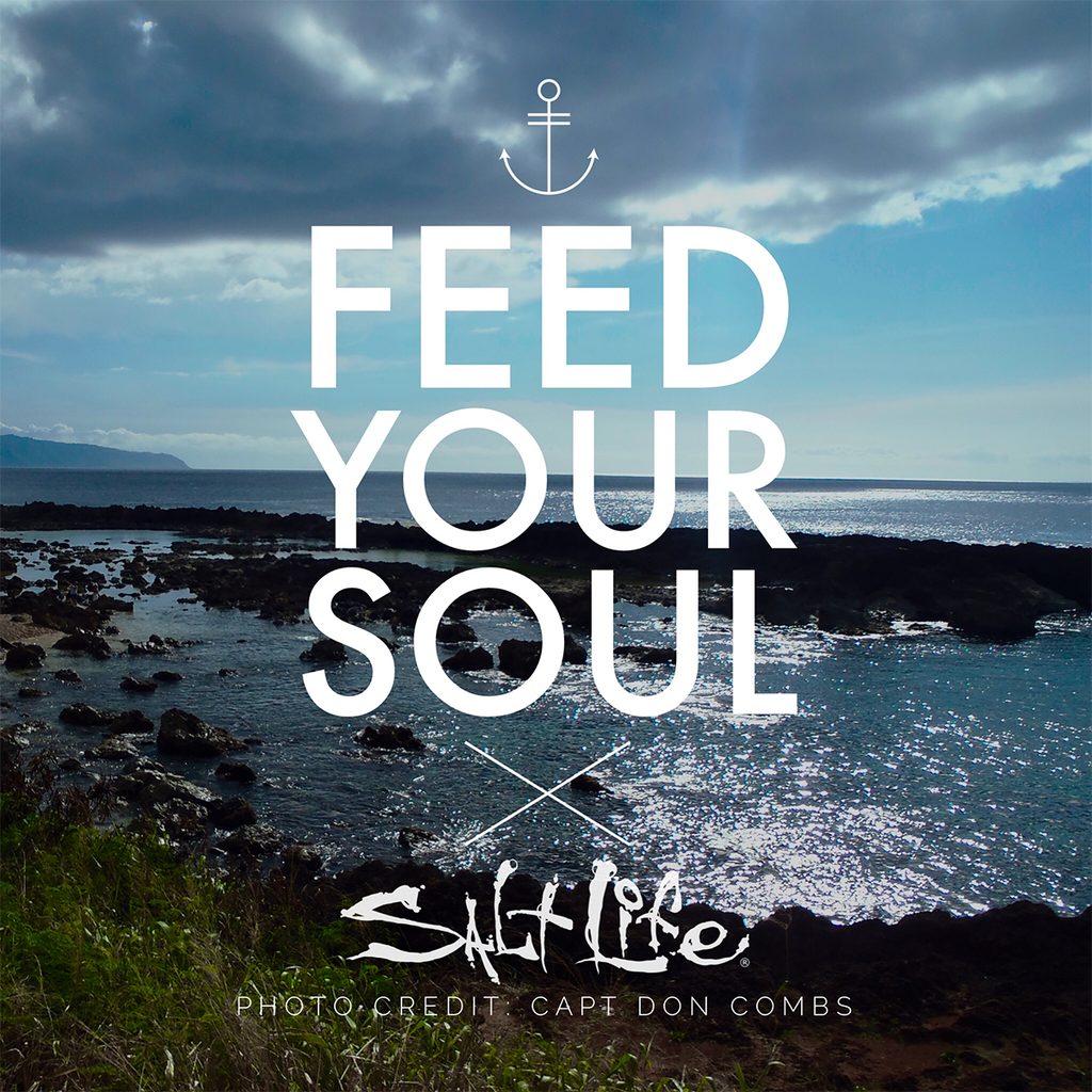 Feed your soul  📷:  Captain Don Combs 

#LiveSalty
