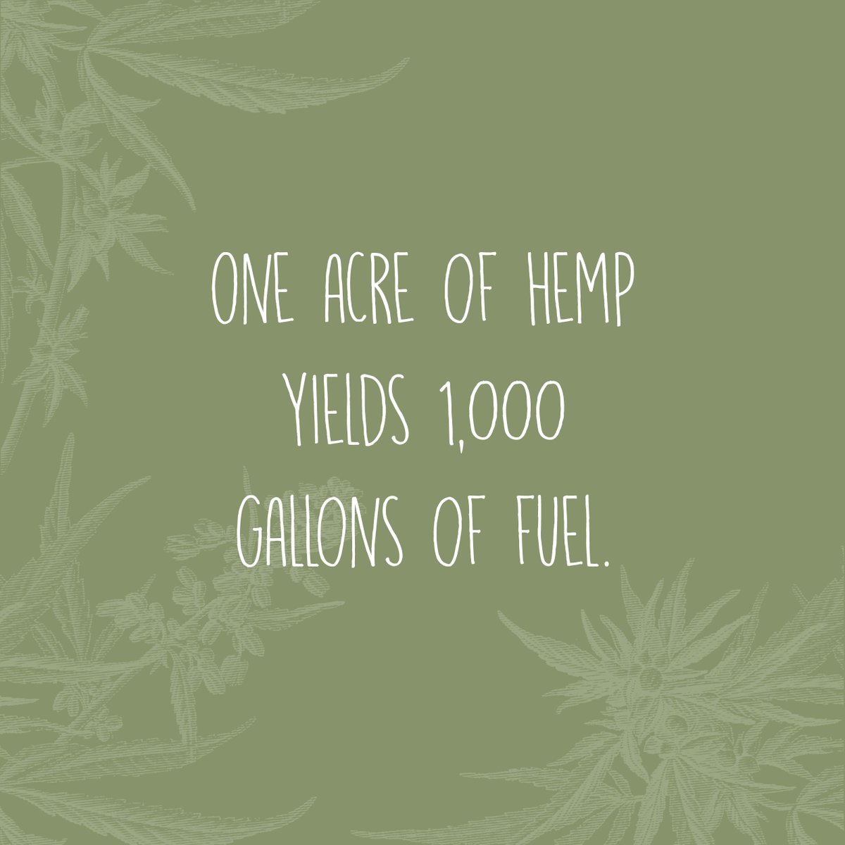 #Hemp seed oil can be used as fuel for bio-diesel #engines.