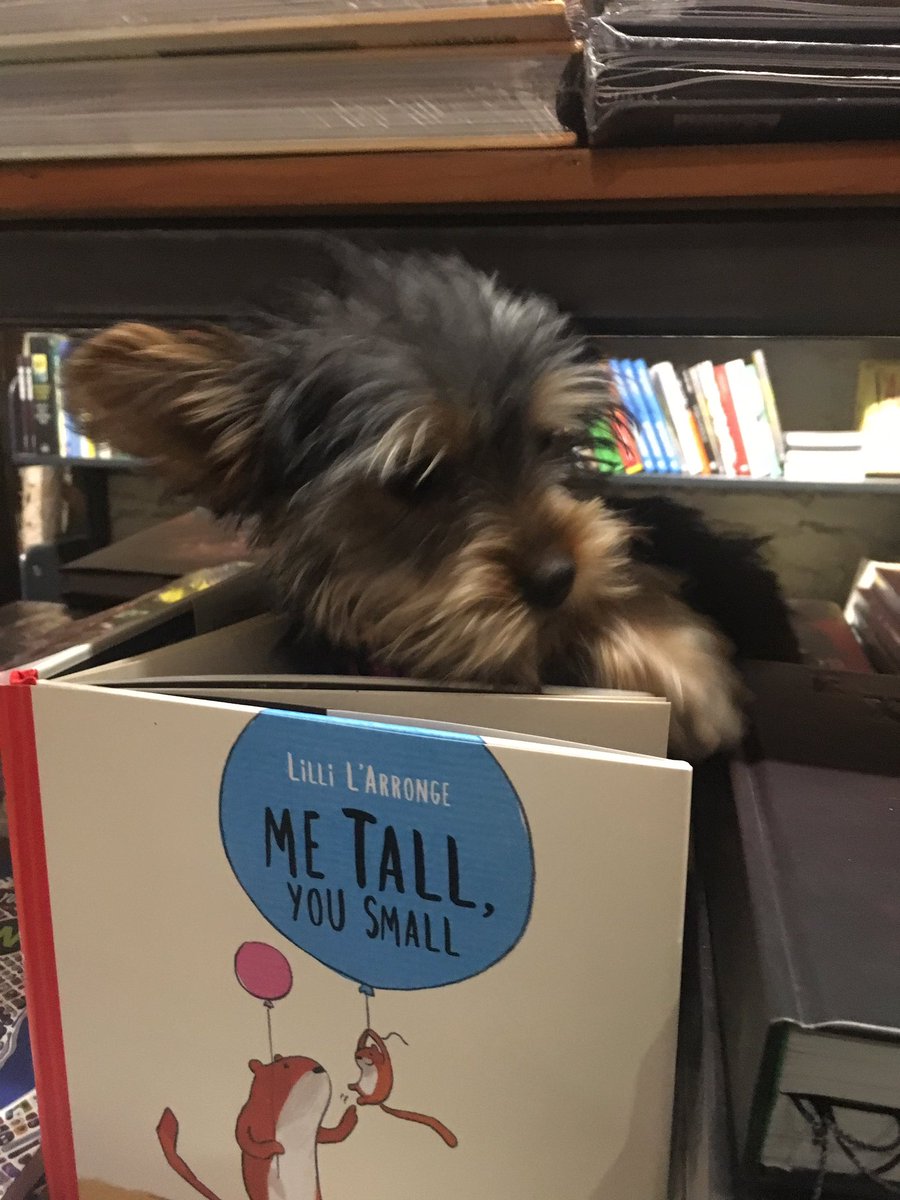 owlkids's tweet photo. Found the cutest guest reading one of our books 😉 #SpringForOKB https://t.co/wl6K2pskyb