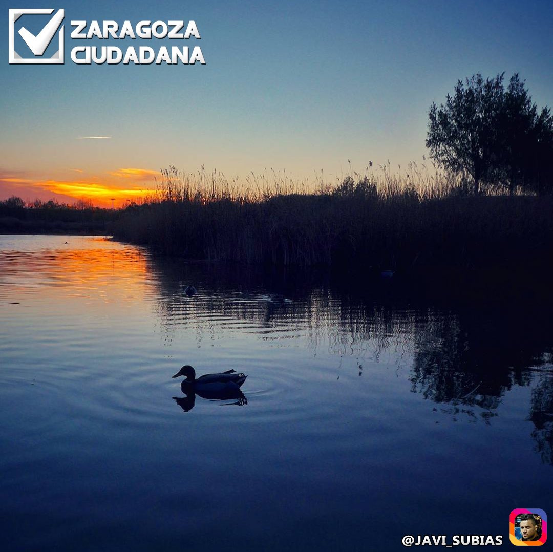 zgzciudadana's tweet photo. La #soledad no es aquello que sucede cuando estás solo, es lo que sientes cuando no puedes estar contigo mismo. #Buenasnoches, #Zaragoza… 🙂 https://t.co/ahI1zGd1nZ