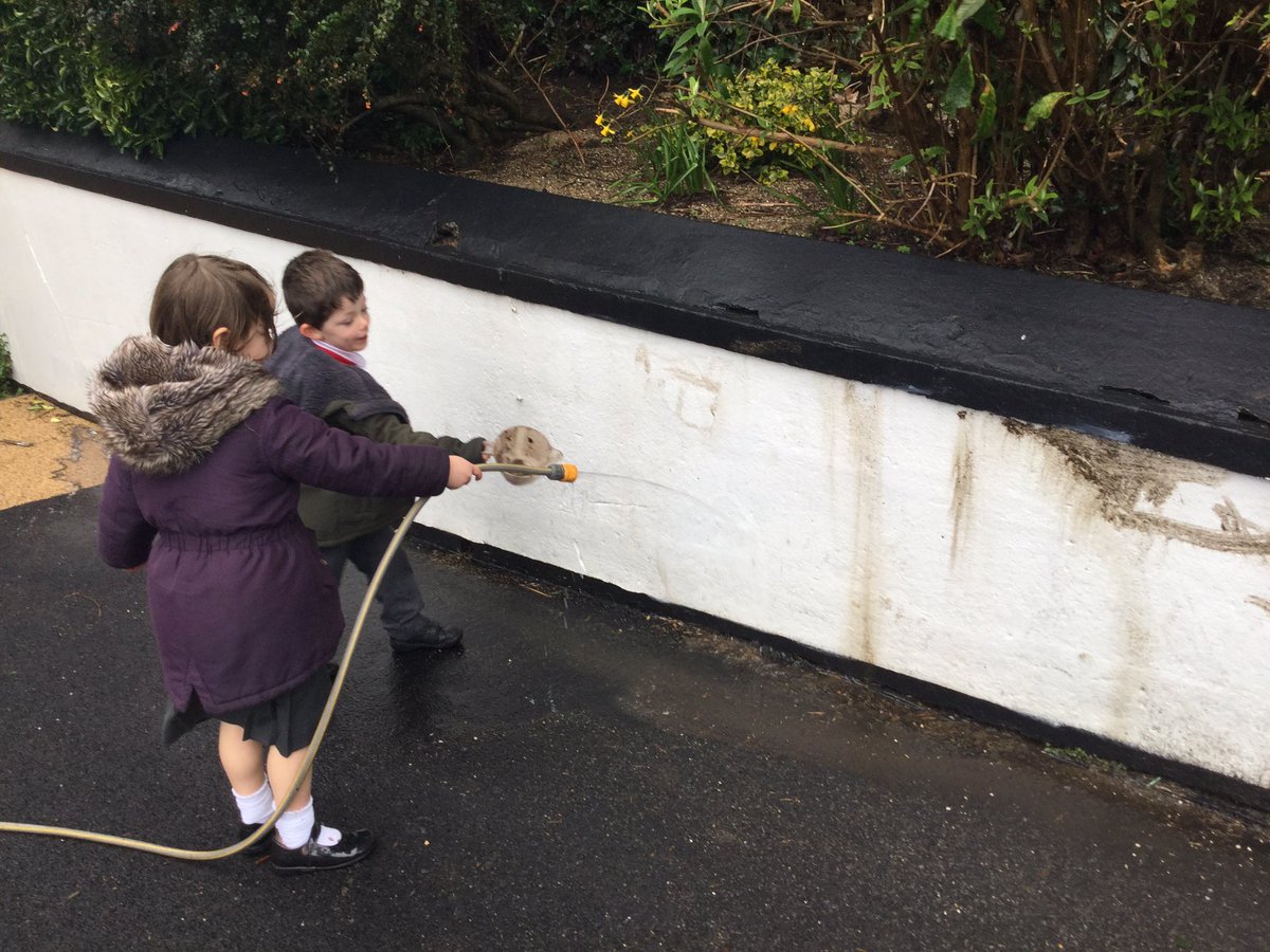 Making the most of the mud today! We did hose it off afterwards 😄
