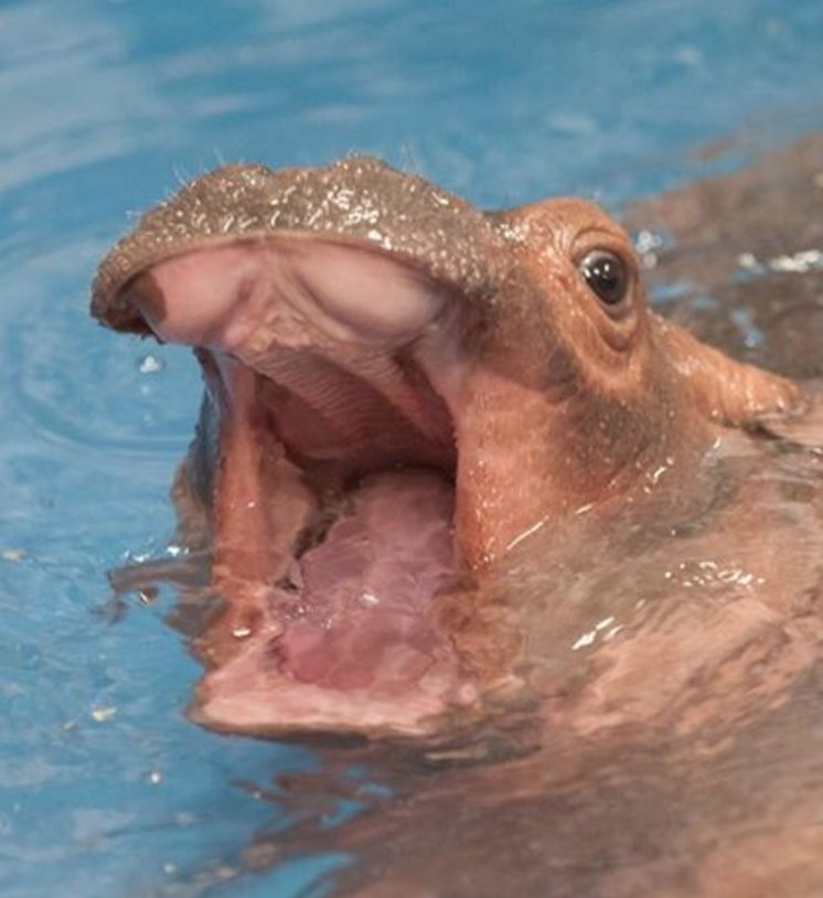 AudreyForSAL's tweet image. When someone says they haven't voted yet