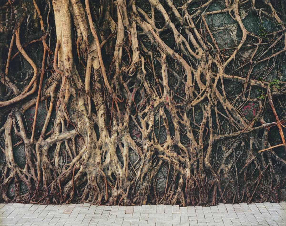 But Does it Float tweet media