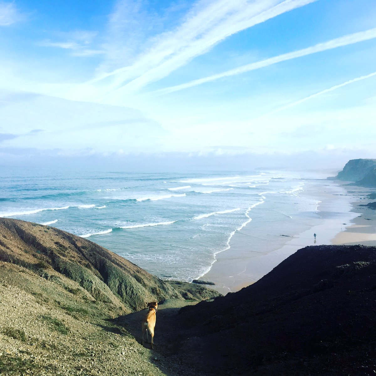 kkieck's tweet photo. 3 weeks 👉🏻#txs17  🌊 🏄🏄‍♀️ 🌅 @LenaRaschke @HilkeKrause @CaptainKnoop @La_Kat @isasun @kraemerlein @dennisruske @Richy_Ugwu ... and more 🤗😘! https://t.co/aOwDcvoBOO