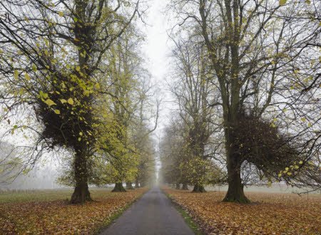 A short journey from Derby, discover an un-stately home and country estate @NTCalkeAbbey: nattru.st/5d8fs