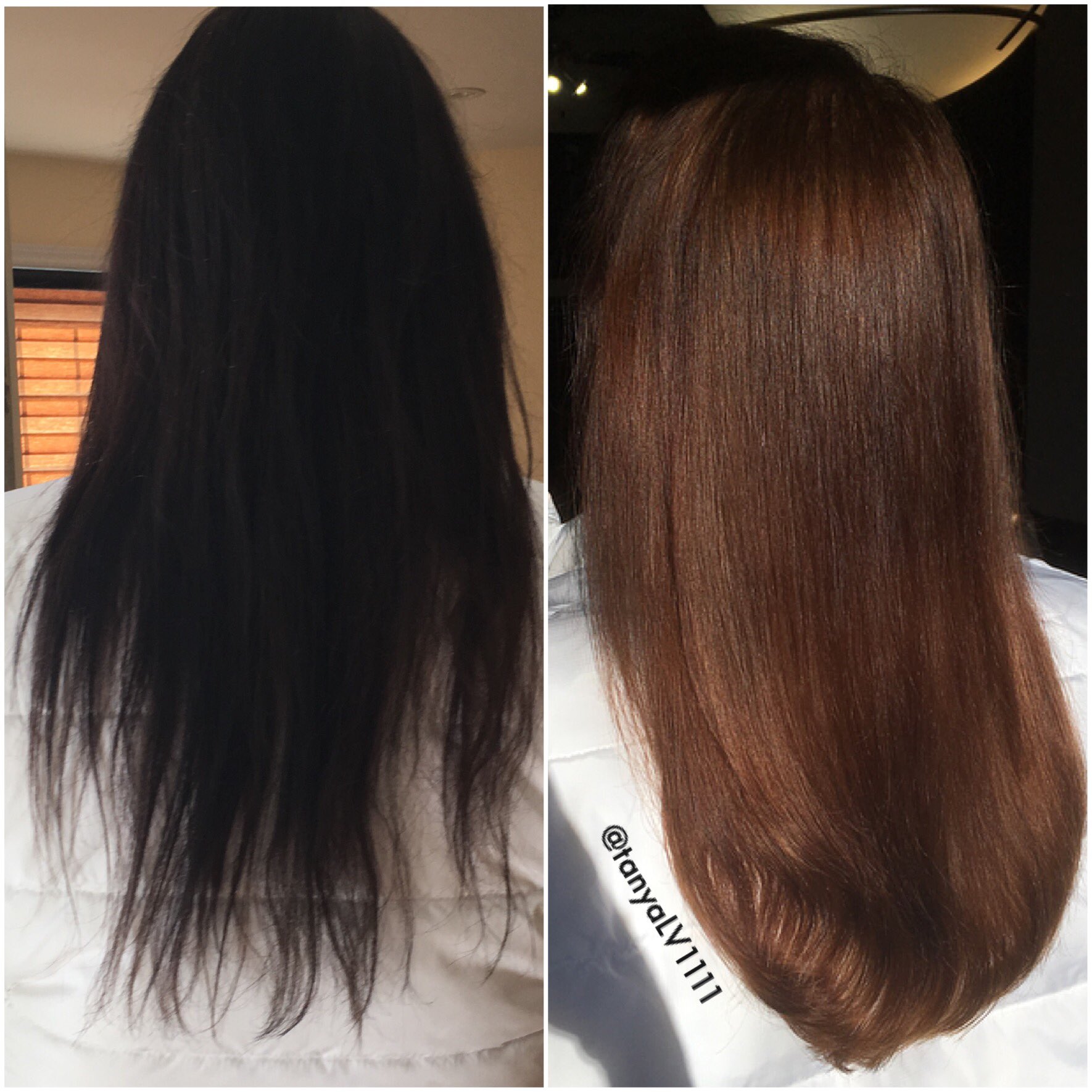 Black Box Dye Color Correction - Mirella Manelli Education