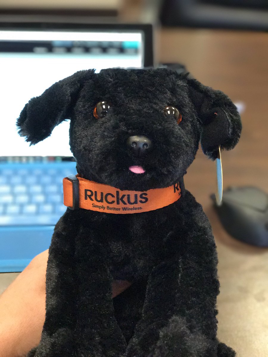 TechnovationCtr's tweet photo. Cutest... business card... EVER!! 🐶 @ruckuswireless https://t.co/cPRl1iksx6