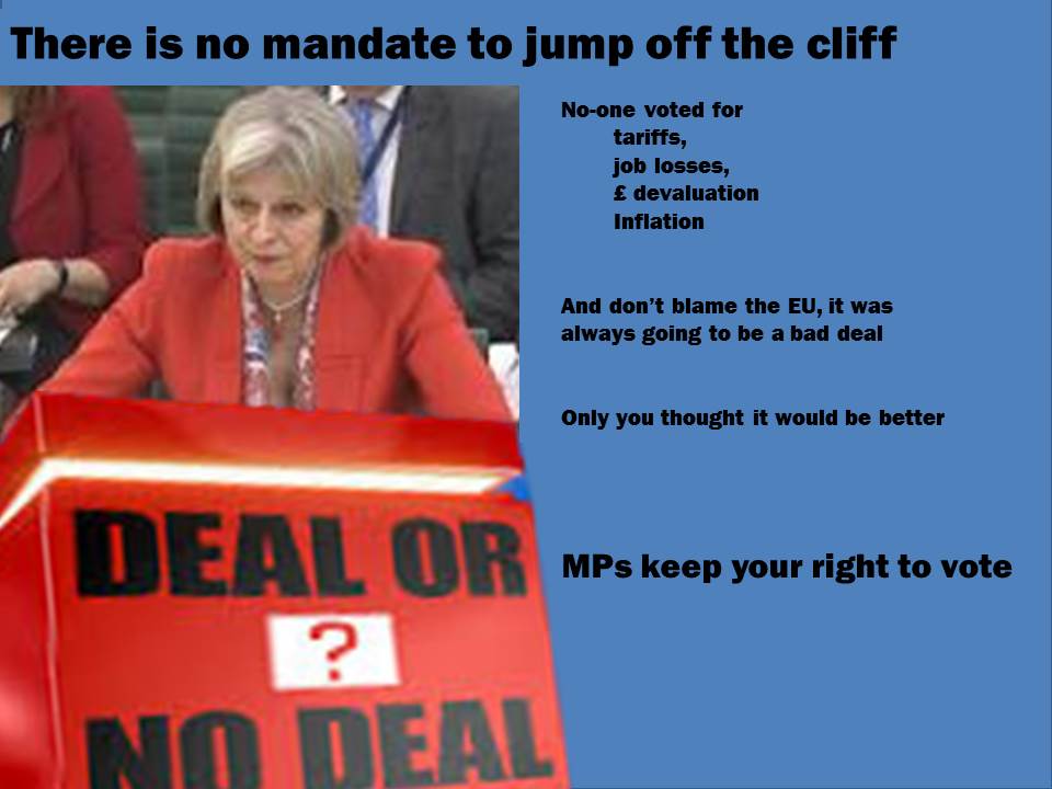 TimeToRejoinEU's tweet image. MPs do not be swept up in #brexitlies  Jumping off the cliff is not the "will of the people" Fight for your right to vote #ratificationvote
