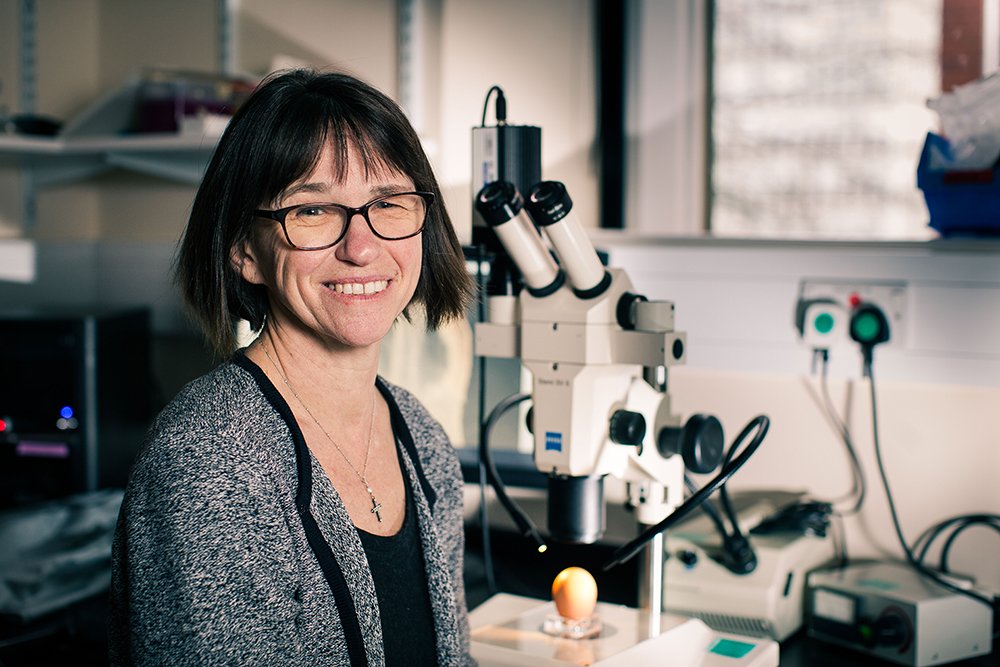 sheffield.ac.uk/staff/portrait… … #BeBoldForChange