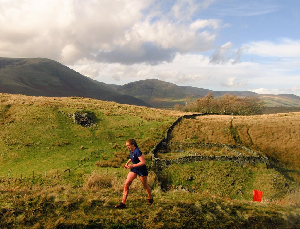 Robertson_Sed's tweet photo. Pippa showing true resilience today with her injured leg on Baugh Fell #BraveButterfly https://t.co/FICaiREnSl