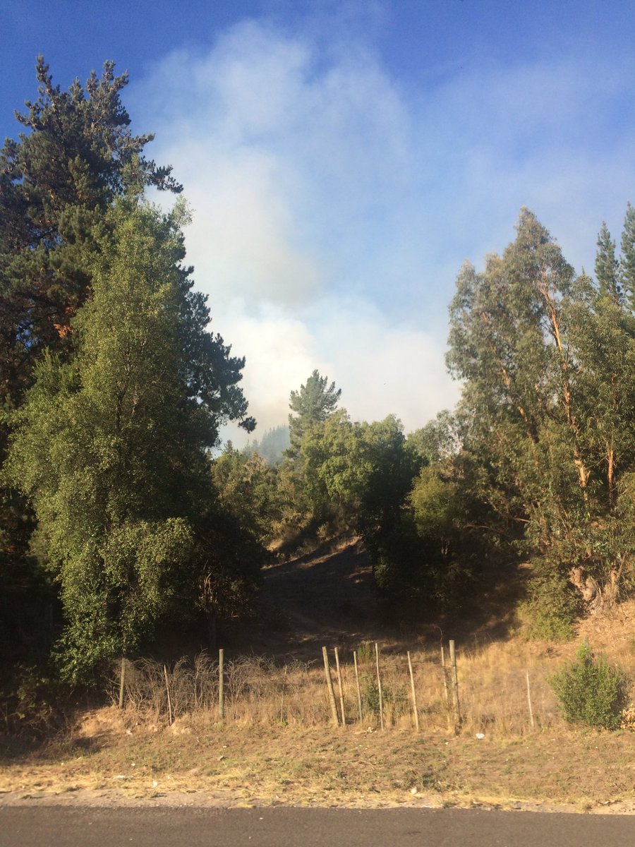 N_Ponce's tweet photo. #Ruta68 @sitiodelsuceso camión incendiado en km 81, produjo incendio forestal, tráfico lento pero avanza. https://t.co/UnW1COaH33