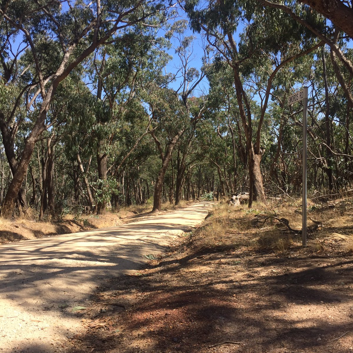 DestinationLore's tweet image. Surrounded by 'presences' beyond mere nature in this rural Tasmanian landscape—still exploring #WestburyFaery connections...🔎