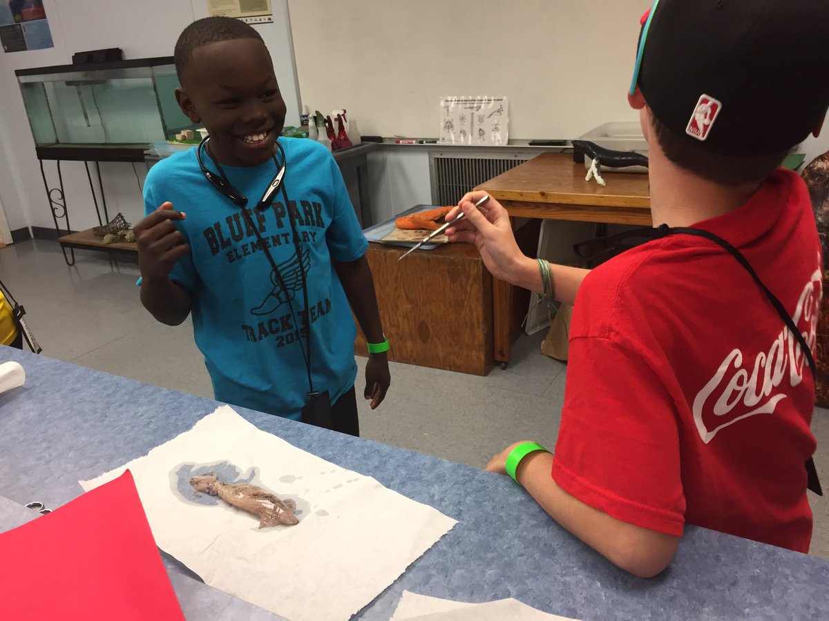 BluffParkElem's tweet photo. Squid dissection! @disealab #bluffparkpanthers #destinationlearning2017 https://t.co/iHX4R9K8du